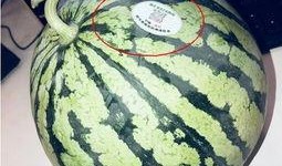 广西南宁吃瓜网红,探寻广西美食新地标