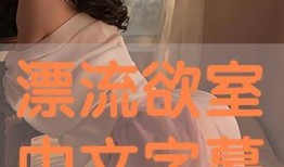 漂流欲室完整在线观看,揭秘“漂流欲室”在线观看全攻略