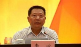 记者爆料李波视频,记者揭秘背后惊人真相