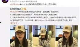 李宝敏最新爆料新闻,揭秘娱乐圈惊人内幕