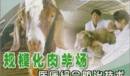 育肥羊爆料视频最新网站,最新爆料视频网站深度解析