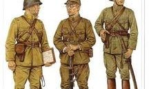 日本军装事件爆料新闻稿,揭秘历史真相与争议焦点