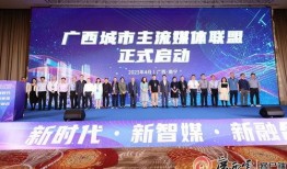 广西南宁媒体爆料新闻,重大事件引发社会关注