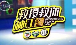 番薯爆料视频大全,揭秘幕后真相，带你走进神秘世界