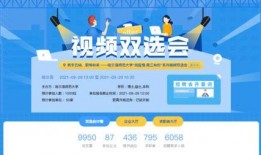 毕业生爆料视频大全集最新,视频大全集深度解析