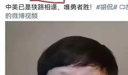 网友爆料去美国了吗视频,揭秘“去美国了吗”视频背后的真相