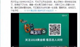 吃瓜网红网页,网络红人的崛起与影响力