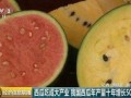 国内最大的免费吃瓜,揭秘热门事件背后的真相与笑料