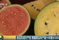 国内最大的免费吃瓜,揭秘热门事件背后的真相与笑料
