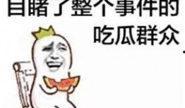 吃瓜猪娱乐学生请假,学生请假背后的故事揭秘