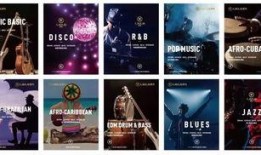 娱乐爆料视频的背景音乐,揭秘热门爆料视频背后的音乐故事