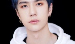 韩娱圈内人爆料王一博,揭秘明星背后的真实生活”