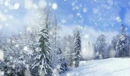 贵州雪景热点爆料新闻,冬日秘境引发热议