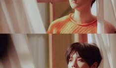 真实爆料鹿晗视频大全,真实爆料视频大盘点，独家视角呈现偶像幕后故事