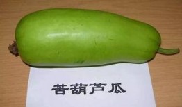 网红吃蒸葫芦瓜视频,美味与创意并存！