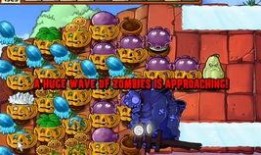 小齐的四个菜爆料视频,家常美食背后的烹饪秘诀