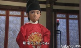 大王世宗在线 观看,穿越时空的帝王传奇