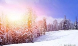 贵州雪景热点爆料新闻,冬日秘境引发热议