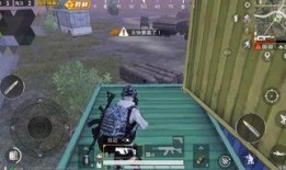 精英僵尸爆料攻略视频大全,全方位解析僵尸生存技巧